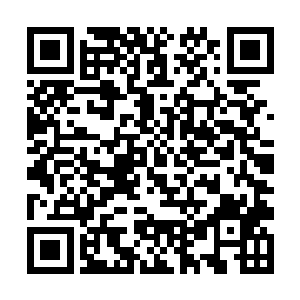 因为第八层摆放的这些真级八品的修炼功法以及战技二维码生成