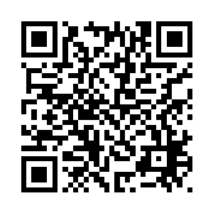 因为精灵们对自己的囚笼非常自信二维码生成