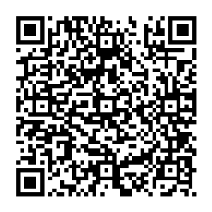 因为老实说看社交网站百分之九十九点九的人都没有机会成为富朗阿渡假村的顾客二维码生成