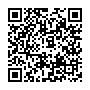 因为老弱妇孺都在迁徙和灾变的过程中被淘汰了二维码生成