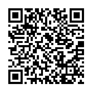 因为考虑到要全面启动保持党的先进性教育活动开展二维码生成