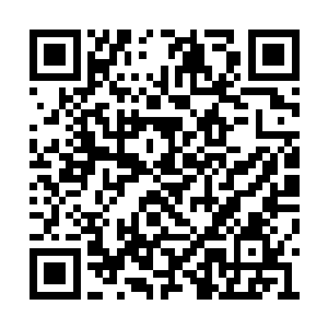 因为胡莲说的是只有他和严默能听懂的前世母语二维码生成