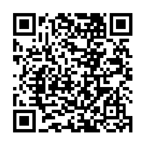 因为自己是真的很想知道主人究竟是怎么认识布鲁诺的二维码生成