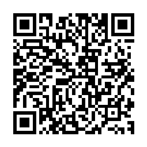 因为自己的好几次攻击都已经被对方用那双铁拳给硬抗下来了二维码生成