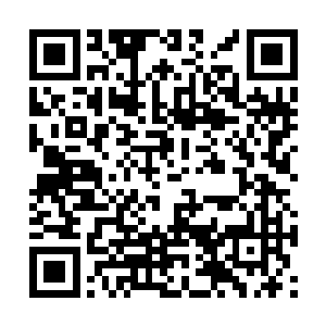 因为自己的这个同胞大部分时候脸上都带着微笑的二维码生成