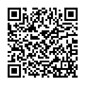 因为至少他们的圣女平安的从异空间穿梭回来了二维码生成