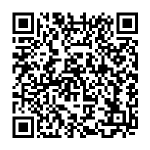 因为苏凡的直觉告诉自己眼前的这个年轻人在北冥家族中的地位不会很低二维码生成