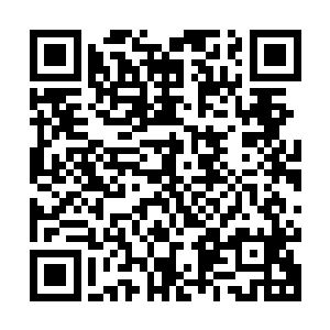 因为英雄的行为通常会得到民众……也就是其他阶级的人的支持二维码生成