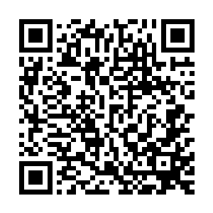 因为落选者绝对不可能坦然接受自己的灭亡即便一个心地善良二维码生成