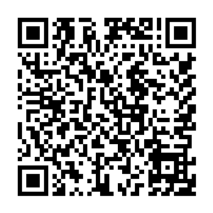 因为蒋刚被抓而替补上位的临海市公安局一把手司灿涛正坐在办公室喝茶二维码生成