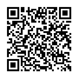 因为薄荷被绑架的事儿真跟他这个小主任没关系二维码生成