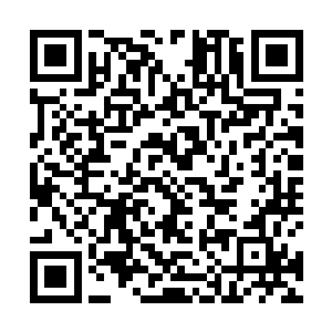 因为虚空当中那幅九宫河洛图将他的八臂完全阻隔在外二维码生成