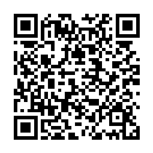 因为血灵的张大嘴巴惨呼尽数从血灵嘴巴里面掉了出来二维码生成