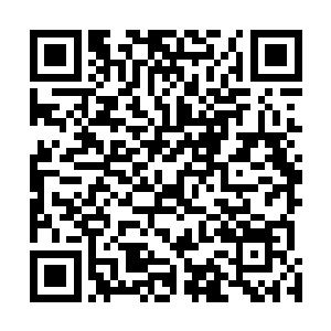 因为被杨开杀掉的居然不是他们这一群宁死不屈的魔王们二维码生成
