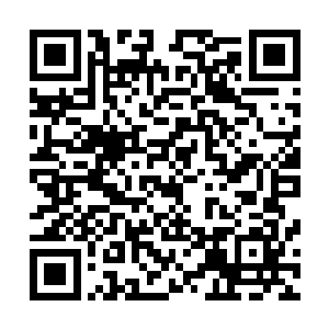 因为被解放者随时都会因为难以适应新的世界观而精神崩溃二维码生成