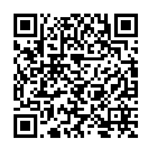 因为被镇压在山河钟内的莫多居然直接爆为一团血雾二维码生成