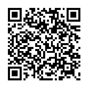 因为裂地战虎王可还没有动用兽力没有释放兽技二维码生成