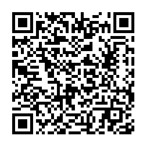 因为许紫烟曾经在拍卖会上拍卖了一个她亲手制作的超品后期巅峰符箓二维码生成