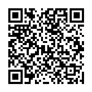 因为说不定一个晚上她就能赚到要几十年才能赚到的钱二维码生成