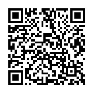 因为豆毛毛本来就是海王族和海神唯一的继承者二维码生成