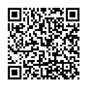 因为负责任的报社不可能有你这种歪心眼的记者二维码生成