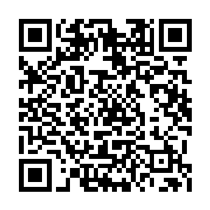 因为赵纯良的脸应该差不多被金发先天给打毁了二维码生成