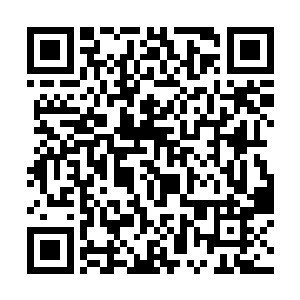 因为还需要让她冷静一段时间来消化这段时间的创伤二维码生成