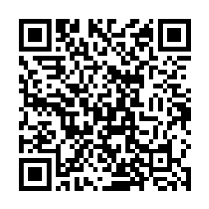 因为这一位粉色衣裙的美女赫然是跟秦方有过一段交情二维码生成