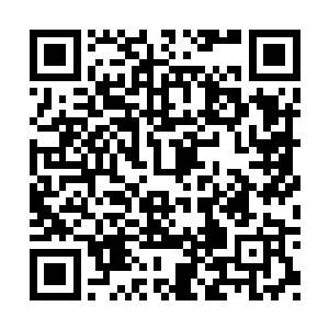 因为这一次的吊篮很有可能就有他老师批评的话二维码生成