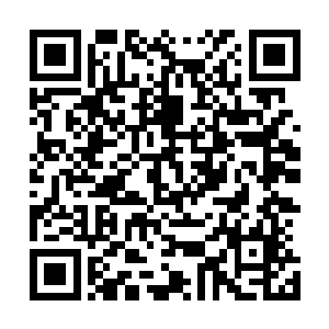 因为这七年来容孟达一直是用这种态度对待族长和六大长老二维码生成