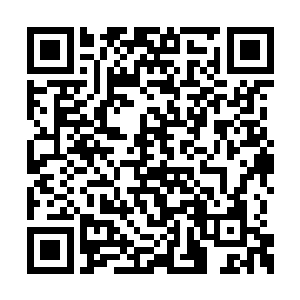 因为这世上没什么比打仗更简单更直接的事情了二维码生成