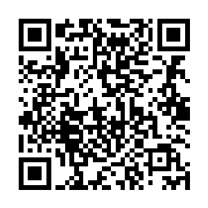 因为这两个剧本都有能力将雨果的事业进一步推向巅峰二维码生成