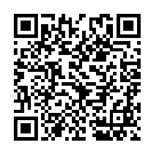 因为这个不仅仅是严重的失误和过失这么的简单了二维码生成