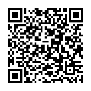 因为这个世上已然再没有能够对他造成威胁的物事二维码生成
