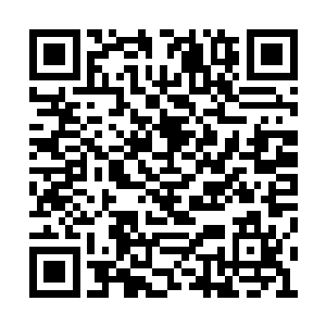 因为这个东西除非是龙族之人主动诚心的拿出来二维码生成