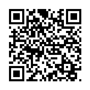 因为这个实在太影响11号训练营的声誉了二维码生成