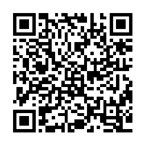 因为这个小世界是楚门和三大势力共同发现共同开发的资源世界二维码生成