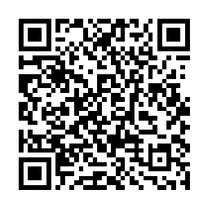 因为这个小丫头正是进门前李姝让朱平安选一个丫头二维码生成