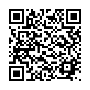 因为这个维多丽亚根本就不相信自己二维码生成