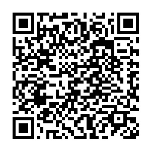 因为这个npc在之后的剧本中很可能会帮小叹去对付玉米果子队的玩家们二维码生成
