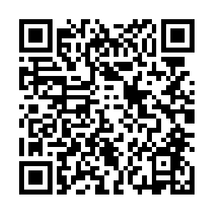因为这也不是她的错――我说所有的罪过都由我来承担二维码生成