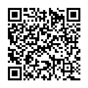 因为这些东西她都是跟着电视剧里的后宫戏学来的二维码生成