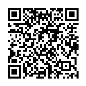 因为这些老虎除了身体大小乃是普通老虎的几乎十倍之外二维码生成
