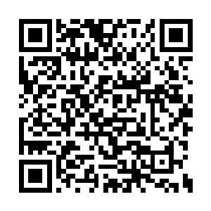 因为这些都是许紫烟早已经决定要留给千符峰的二维码生成