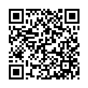 因为这儿的空地上……栽了许许多多的莹树二维码生成