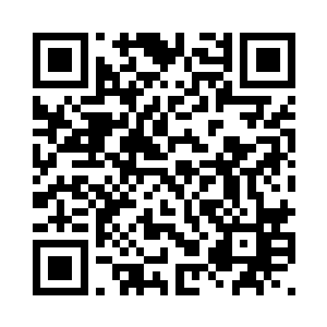 因为这几日苏落一直表现的很安静二维码生成