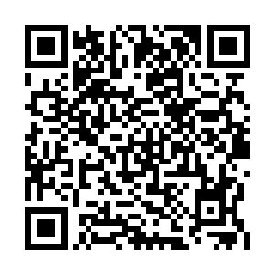 因为这十几人分别代表着凤阳城最强的四股势力二维码生成