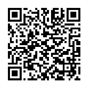 因为这卷轴曾经在他的怀里面揣着放置了至少一年多二维码生成