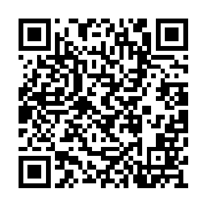 因为这只有面对外力侵略时才会用到的王牌武器二维码生成