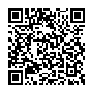 因为这团赭色此时还散发出来了微弱的血腥气息二维码生成